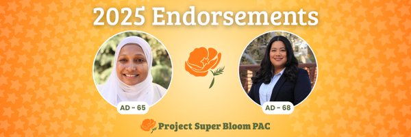 ProjSuperBloom Profile Banner