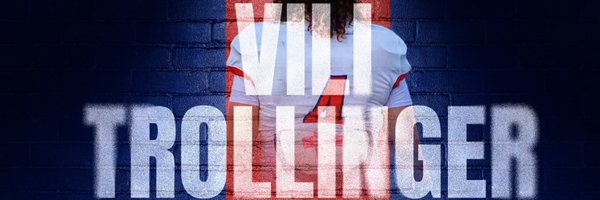 TrollingerVili Profile Banner
