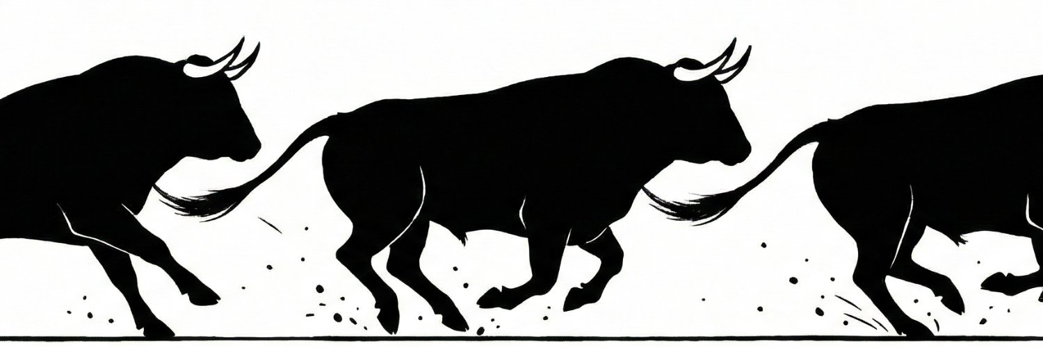 surakweb2's profile banner image
