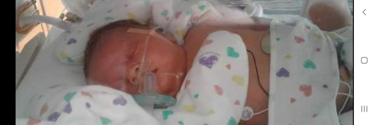 Purple Philosophy banner