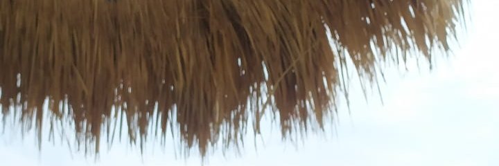 Shaa banner