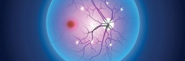 M. Zain Chauhan banner