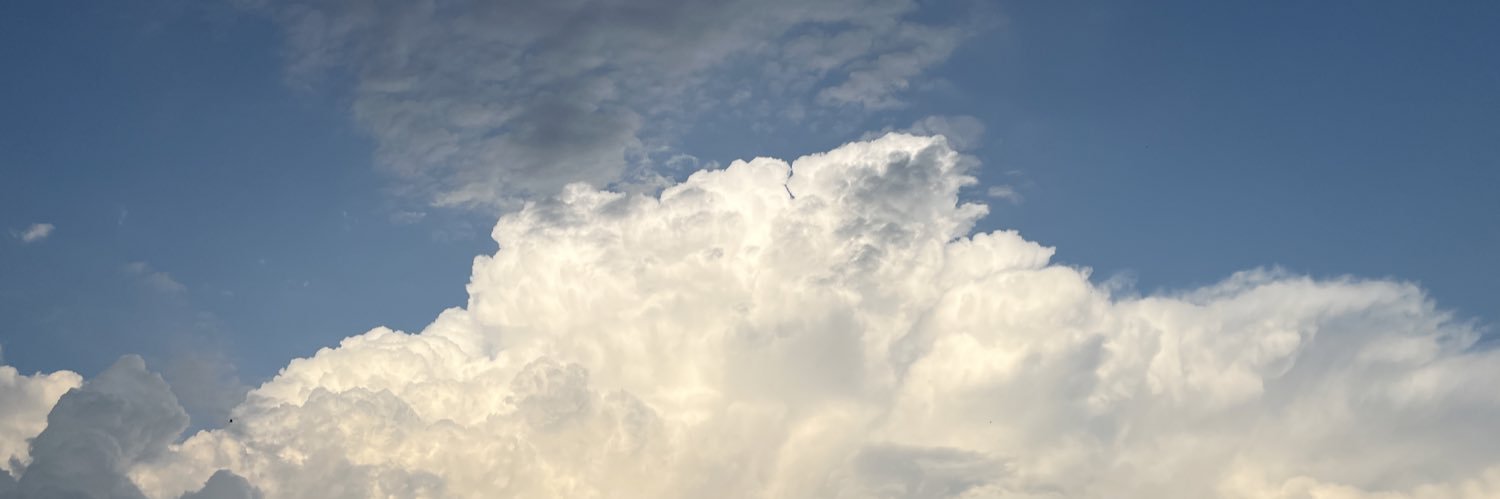 Nosde weltgeist banner