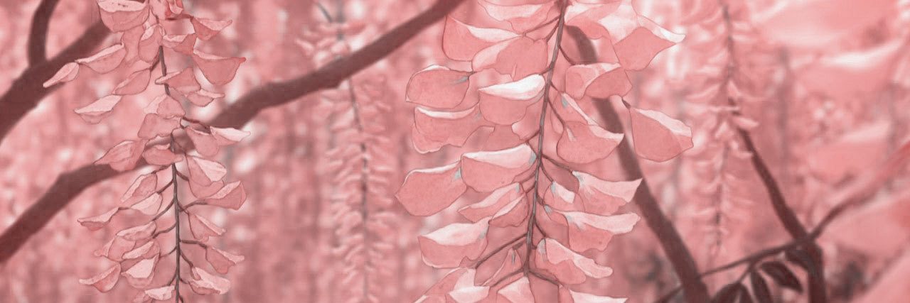Breath0fFlower's profile banner image