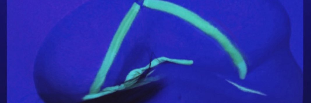 c banner
