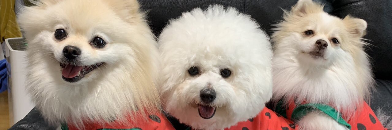 misamisa_8's profile banner image