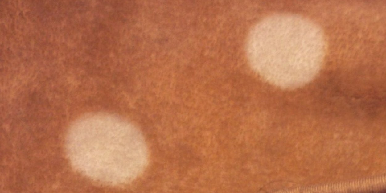 steeeeeeel02's profile banner image