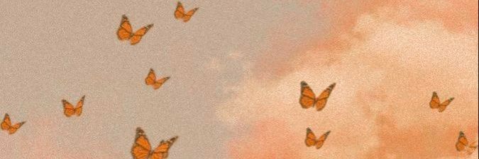 zealca abberico banner