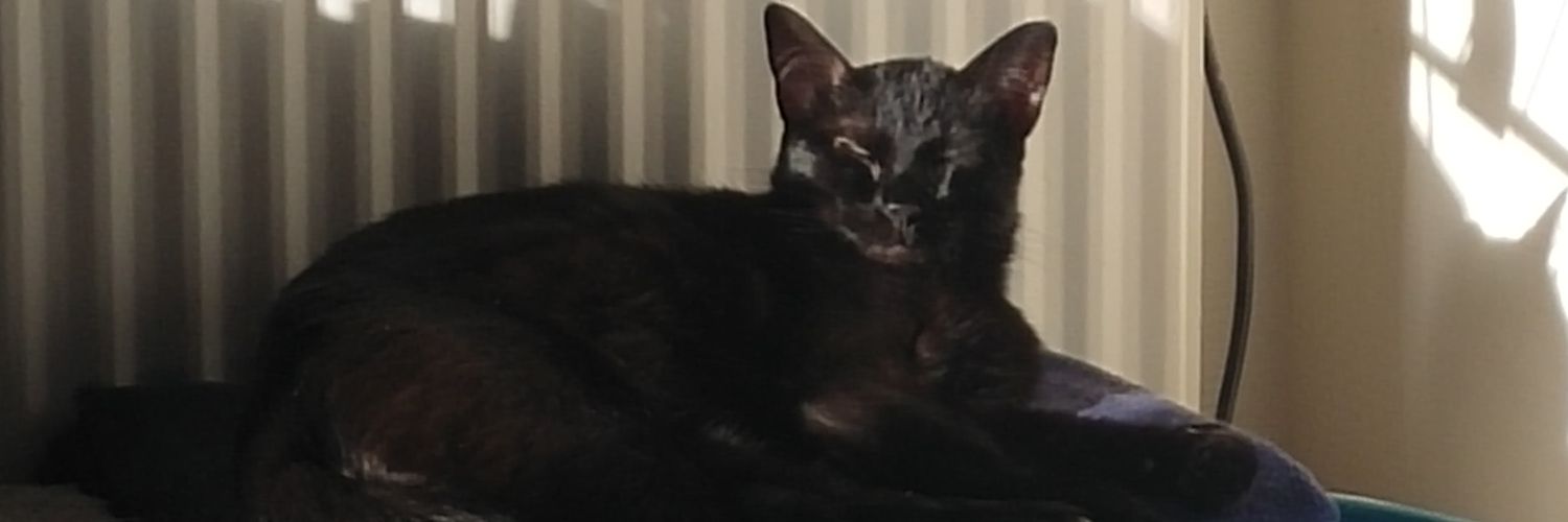 zadeehoh's profile banner image