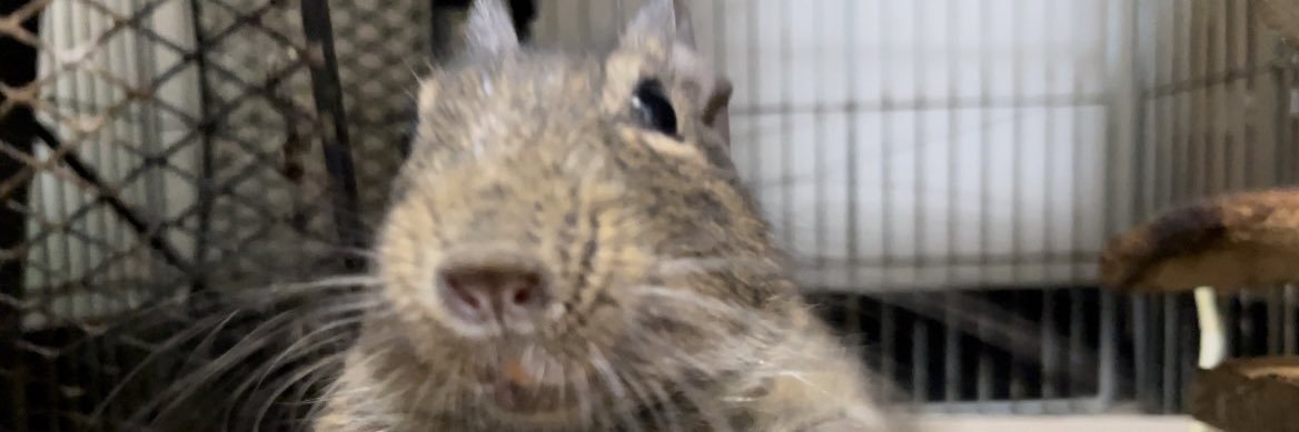 mmmmmoge_'s profile banner image