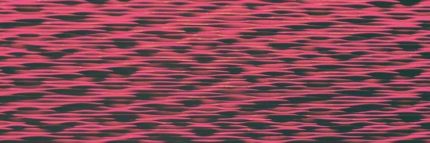 Taylorghini's profile banner image