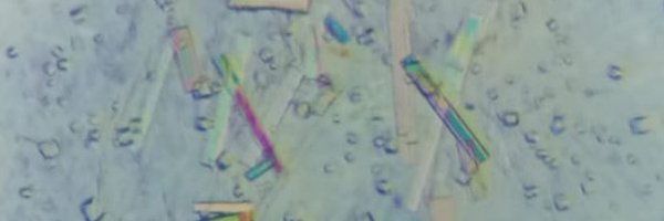 FioriniFra Profile Banner