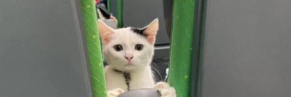 J_maniac49 Profile Banner