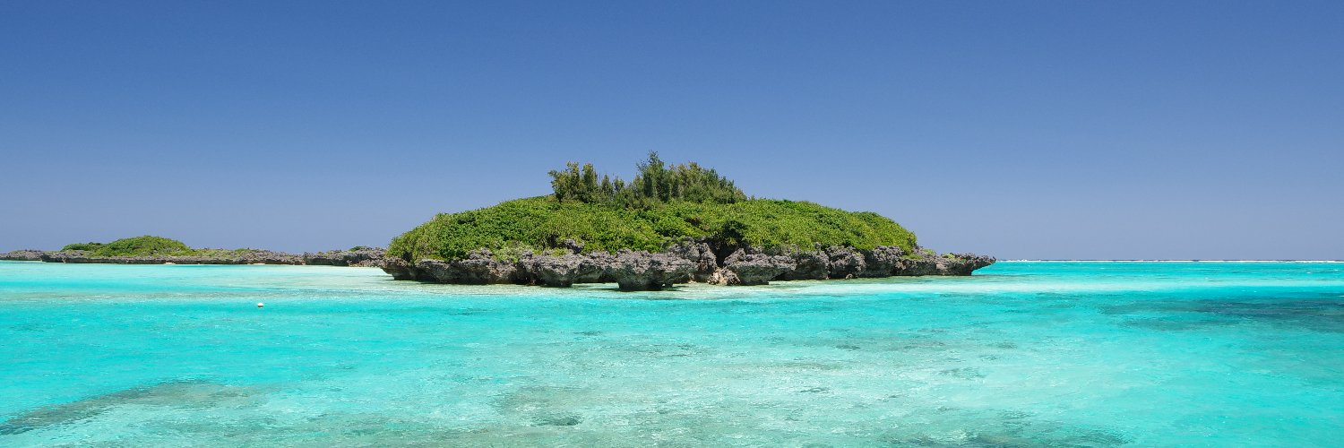 RONCH🇵🇸🇺🇦🇬🇱🇨🇺 banner