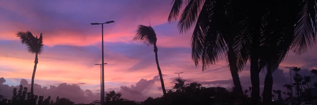 dianisrocha's profile banner image