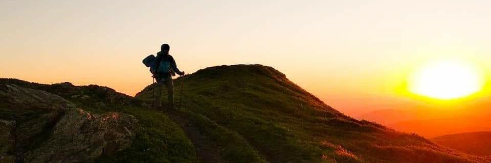 Кіт-Код (Сайти розробка) banner