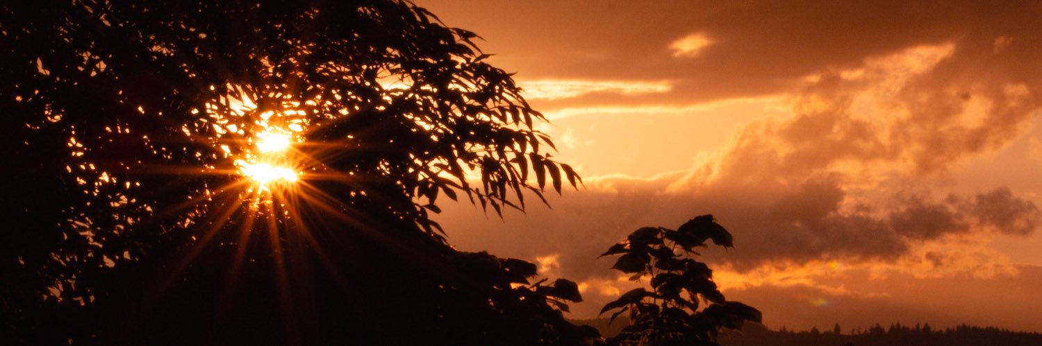 Lyassam_'s profile banner image