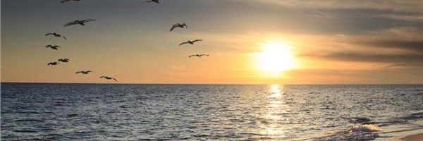 _mrvkr's profile banner image