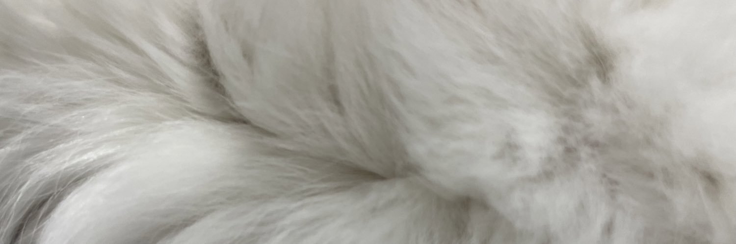 trarilly_o's profile banner image