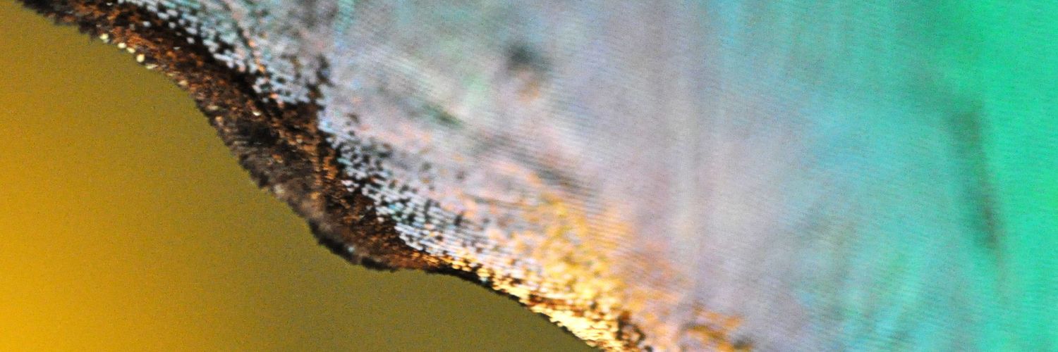 WTFotographyPix's profile banner image