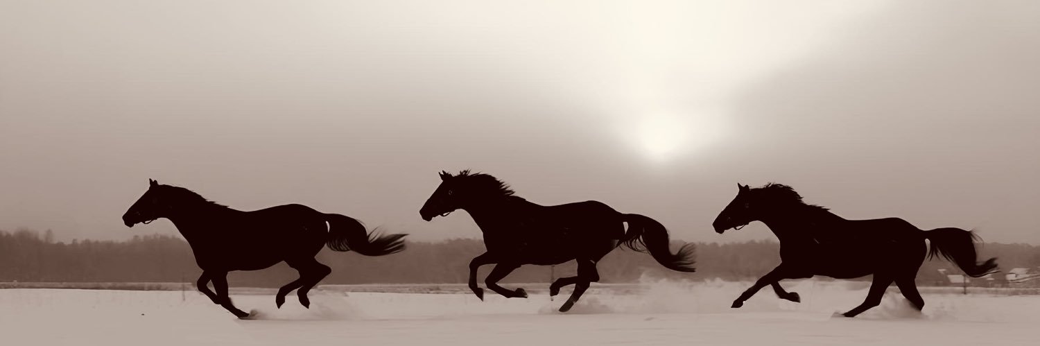 umarfof's profile banner image