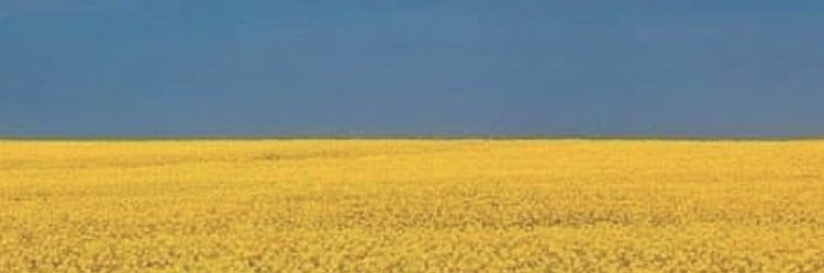 GIROUDMA's profile banner image