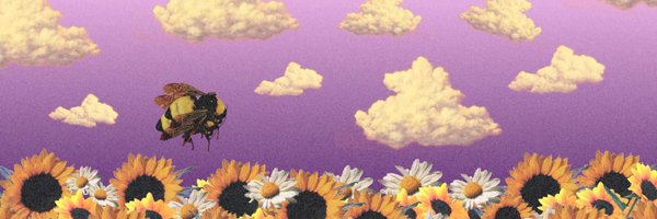 Wipfel Profile Banner