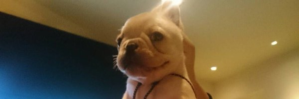 masakitien Profile Banner