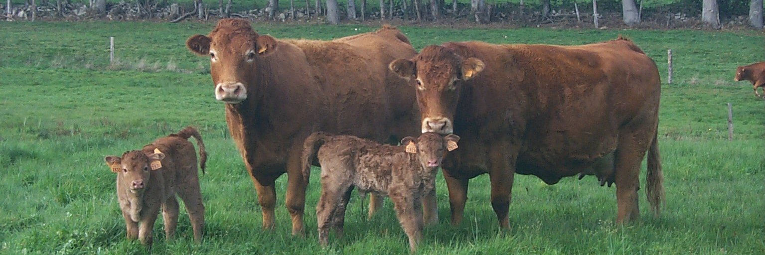 FDSEA de la Creuse banner