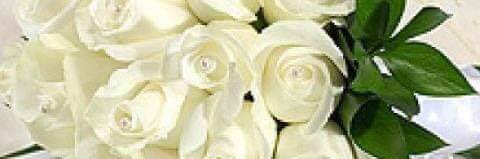 s_soniastar's profile banner image