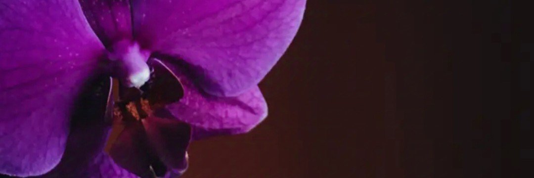 NafilNafil's profile banner image