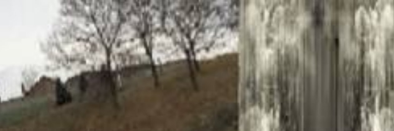່'s banner