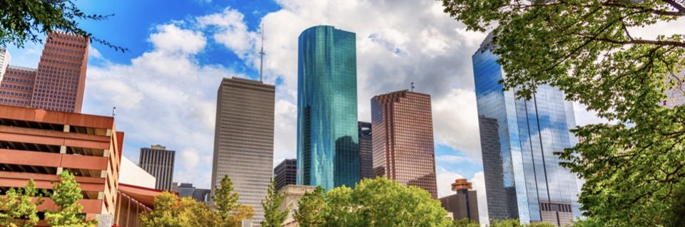 Trish Whitcomb banner