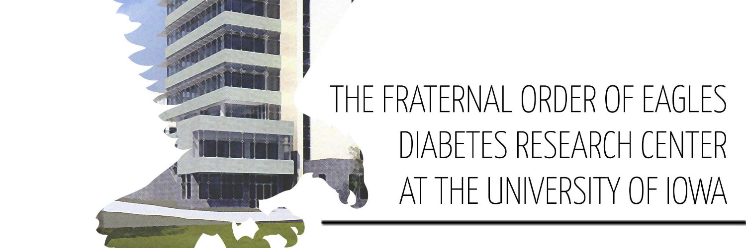 The University of Iowa FOEDRC banner