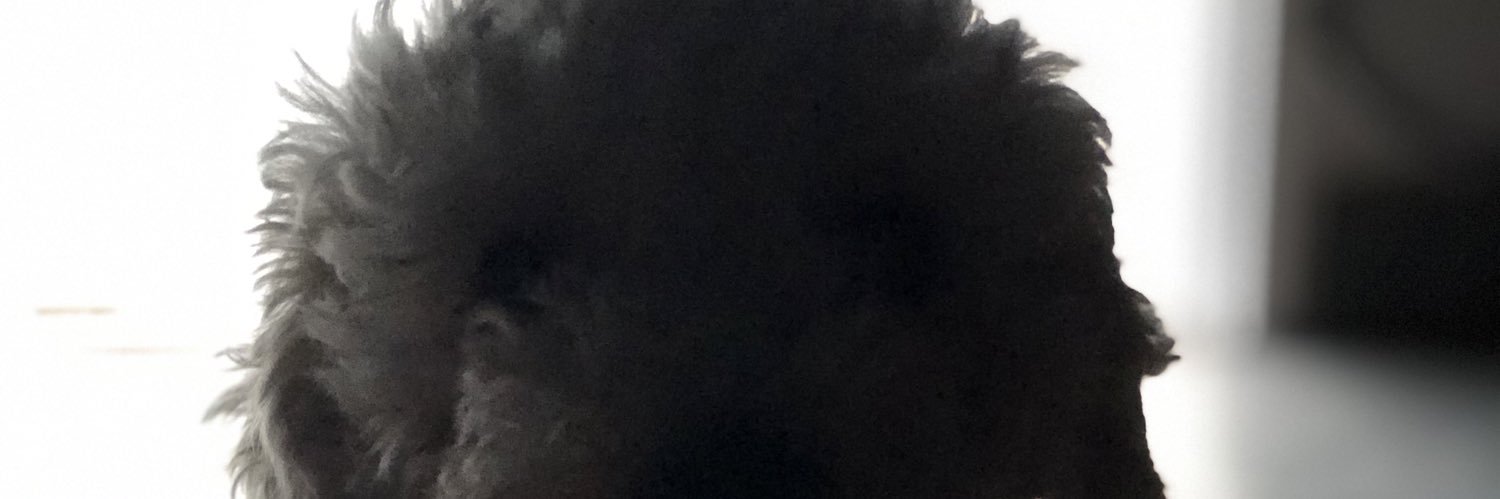 _GuadaMalena's profile banner image