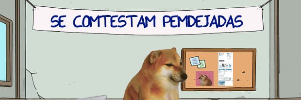 Lic perrito kpooper banner