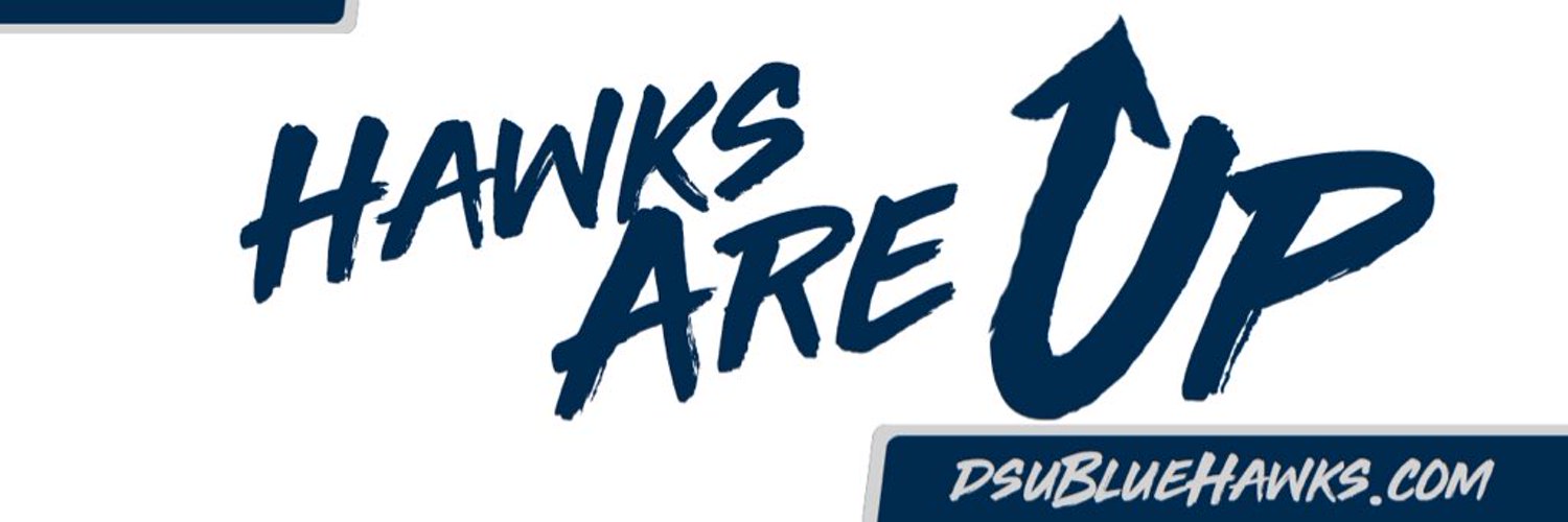 DSU Blue Hawks Profile Banner