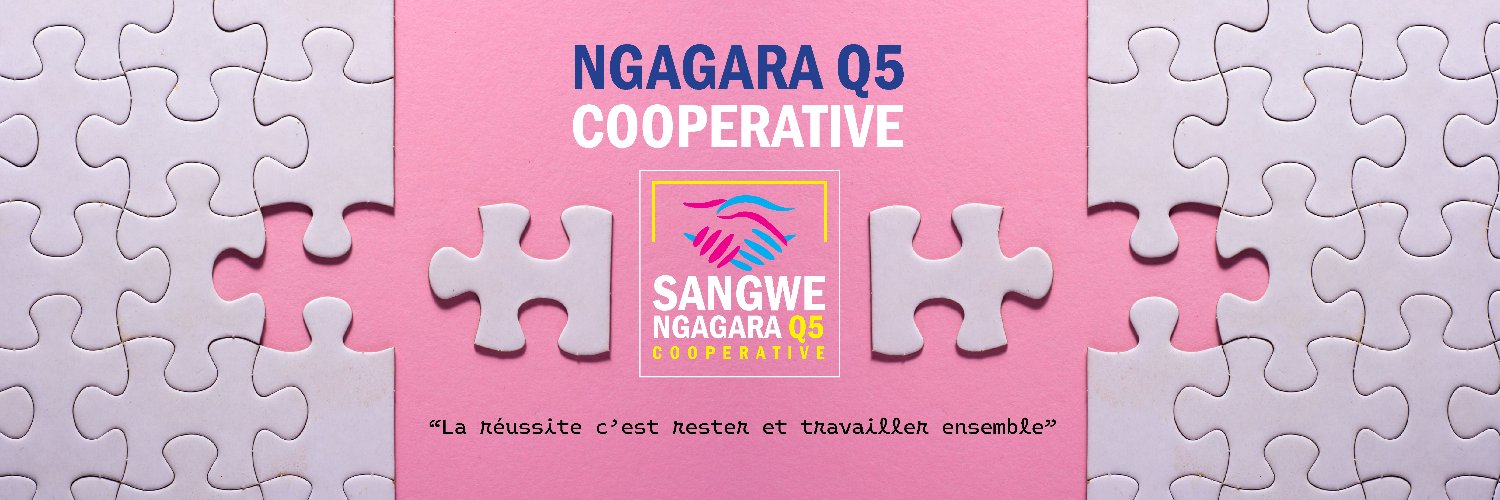 SangweNgagara5's profile banner image
