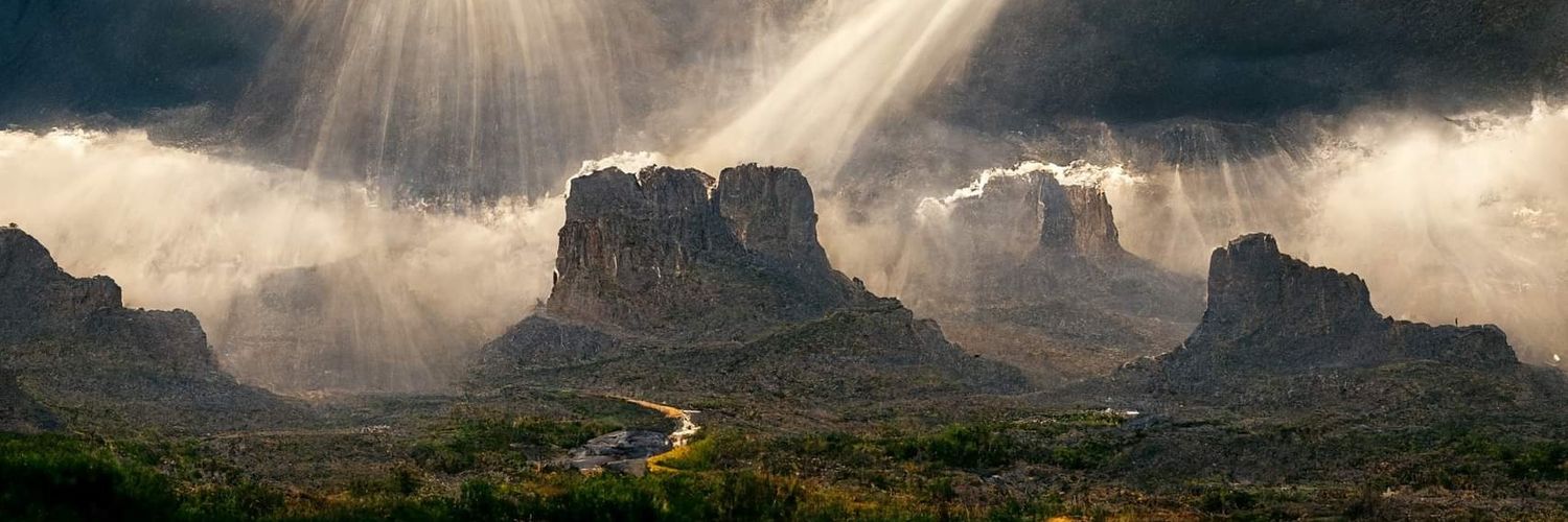 ANativeCreation's profile banner image
