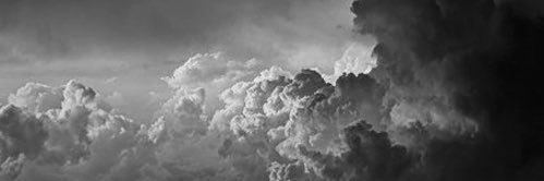 Drea Wheeler banner