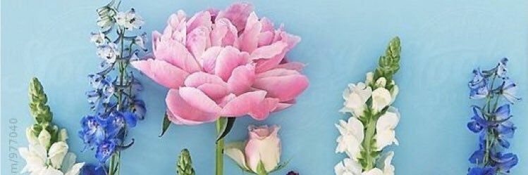 coco1883819's profile banner image