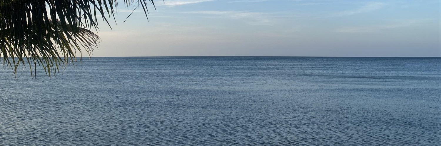 rio banner