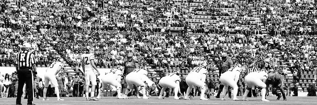 Bruno Marquez banner