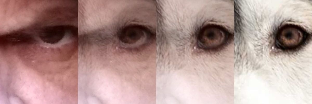 WhymsicalWicked's profile banner image