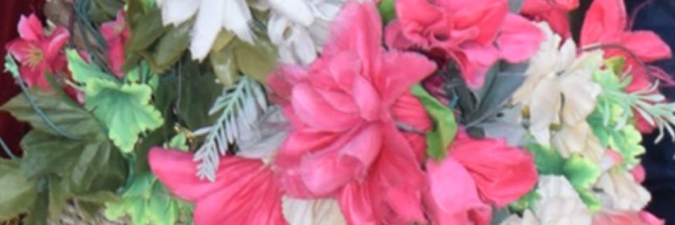 𝕭𝖗𝖆𝖗🍄🌾 banner