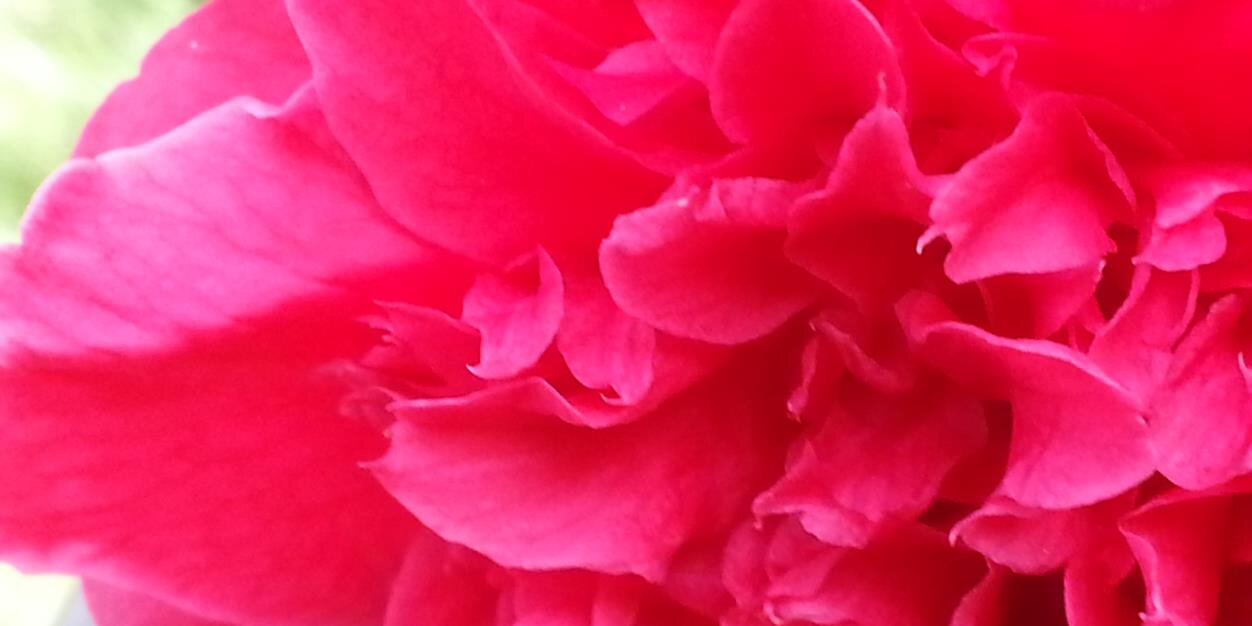 EricSteegers's profile banner image