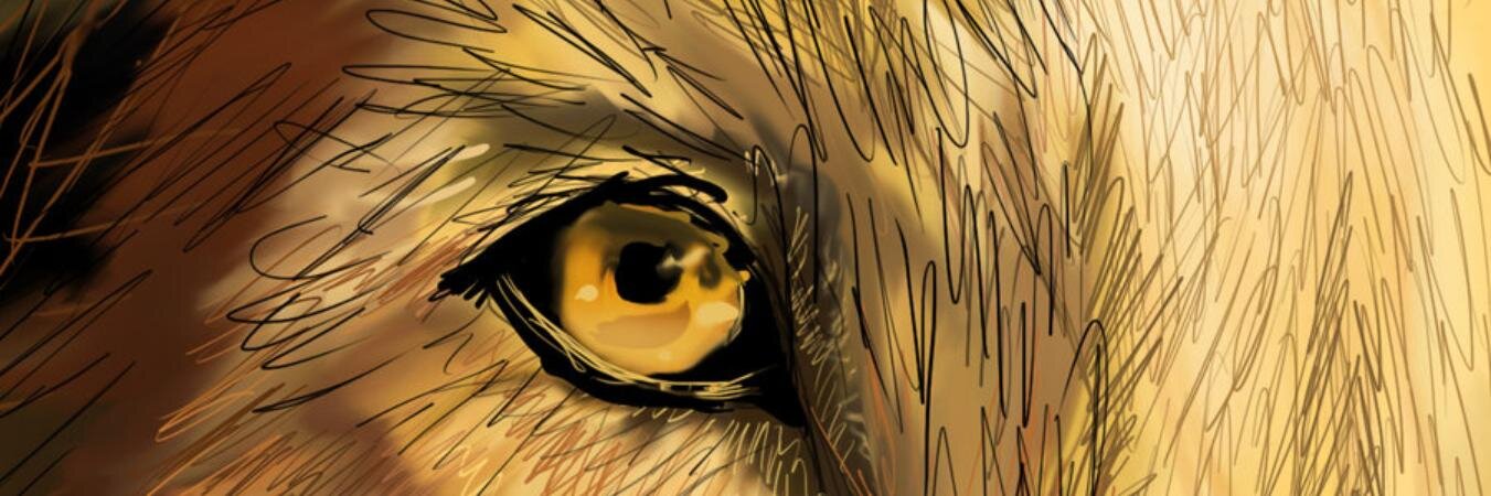 angieamrf's profile banner image
