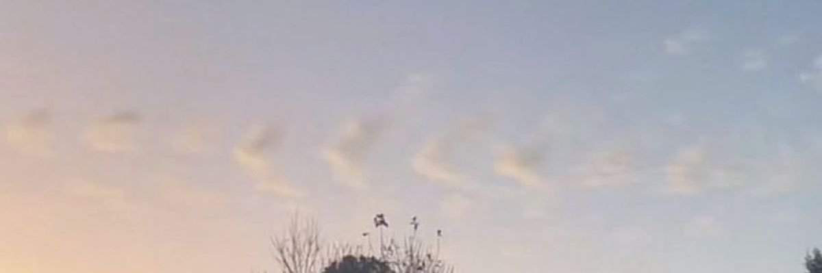 allybrannon_'s profile banner image