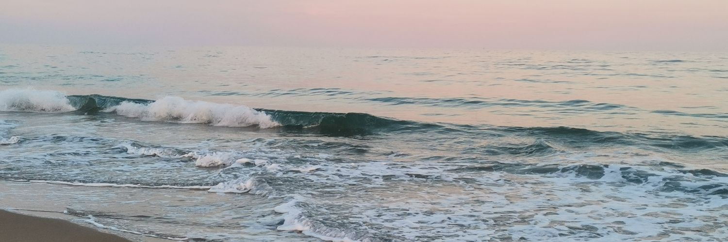 carmefj's profile banner image