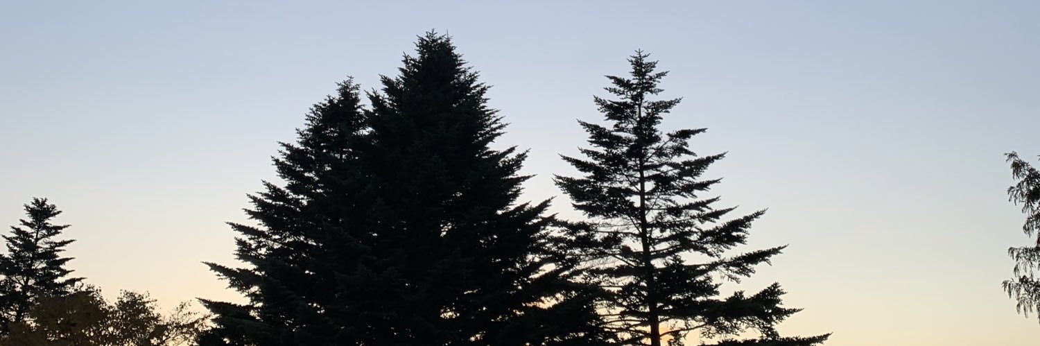 _mk021_'s profile banner image